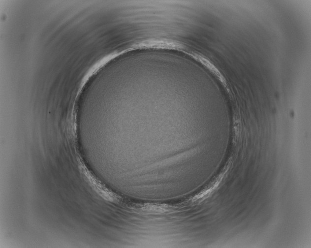 X0000085760981200703301423