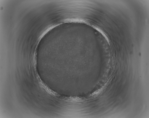 X0000085760983200703301423