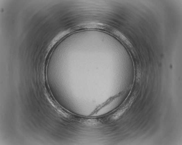 X0000085760986200703301423
