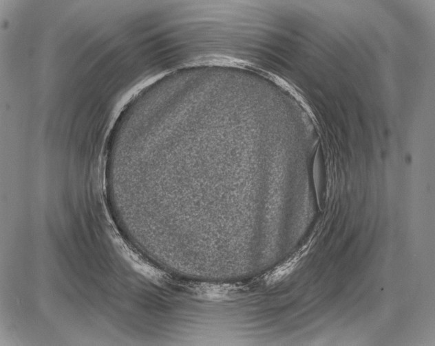 X0000085760987200703301423