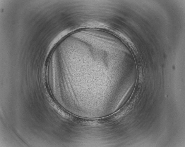 X0000085760990200703301423