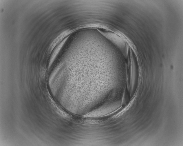 X0000085760993200703301423