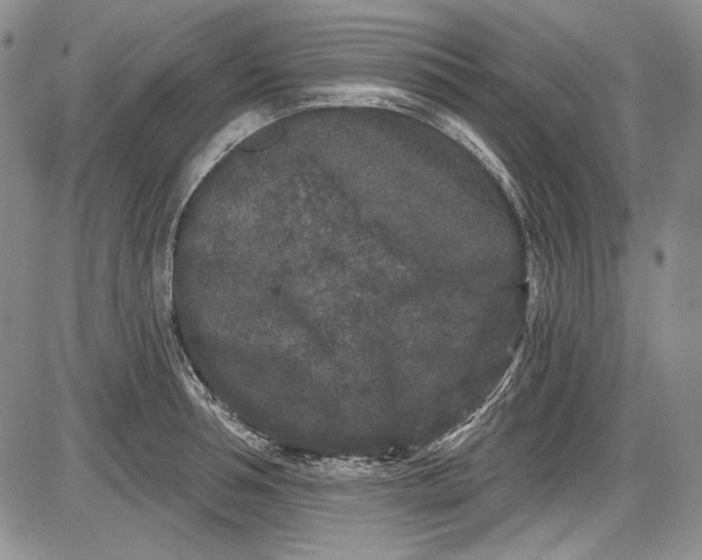 X0000085760994200703301423