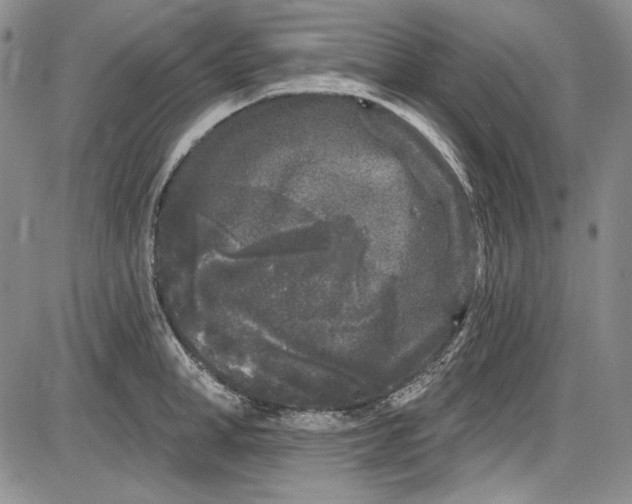 X0000085760998200703301423