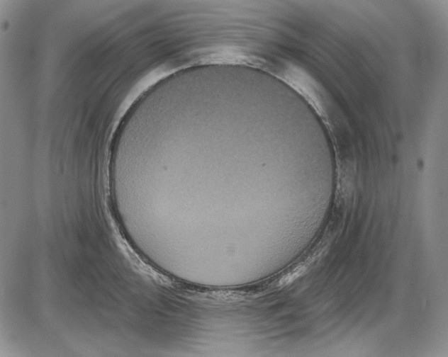 X0000085761000200703301423