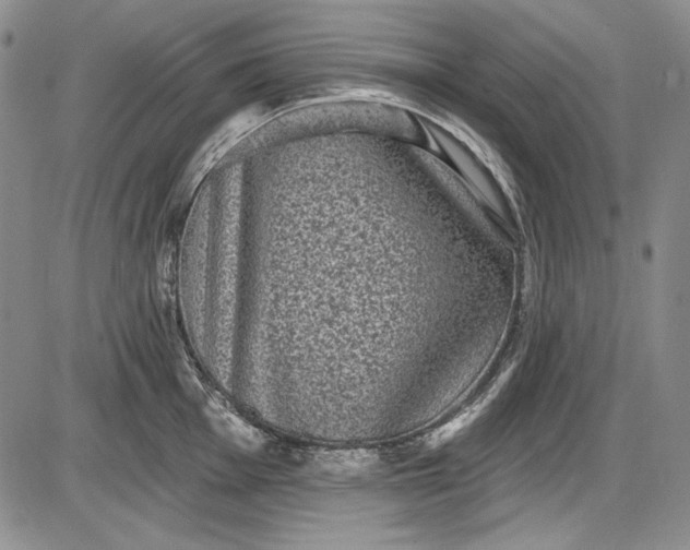 X0000085761001200703301423