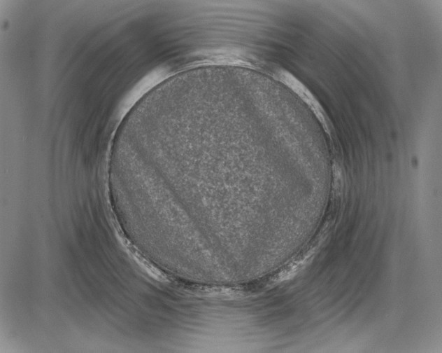 X0000085761002200703301423