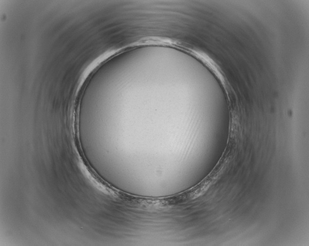 X0000085761003200703301423