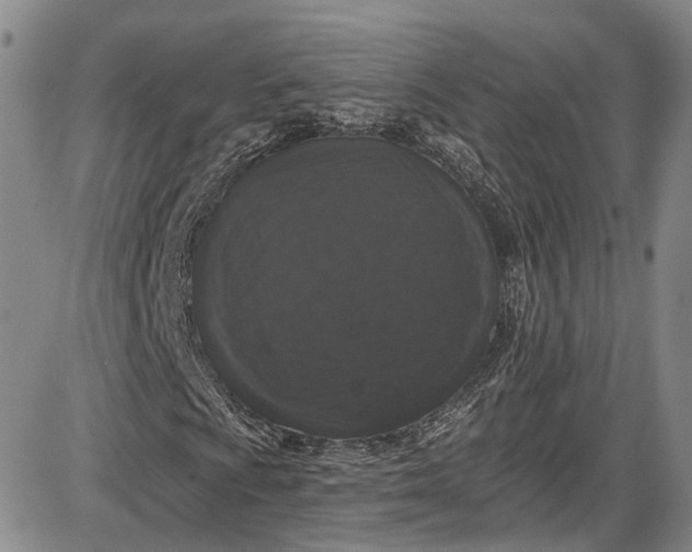 X0000085761009200703301422