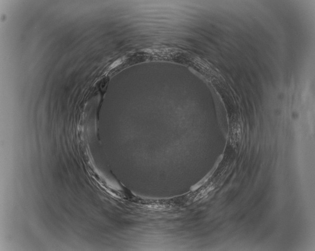 X0000085761010200703301422