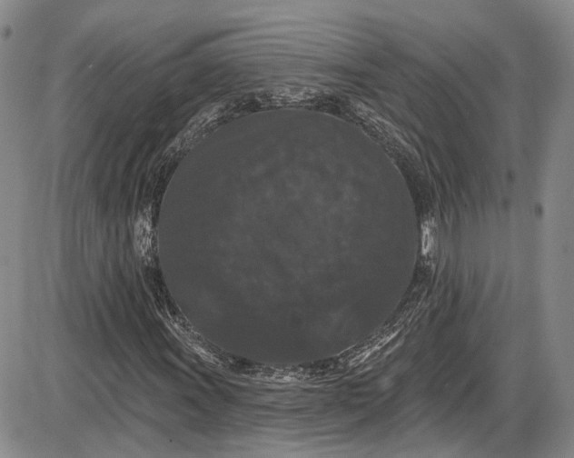 X0000085761011200703301422