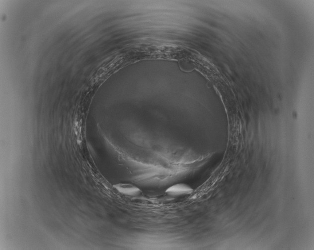 X0000085761013200703301422