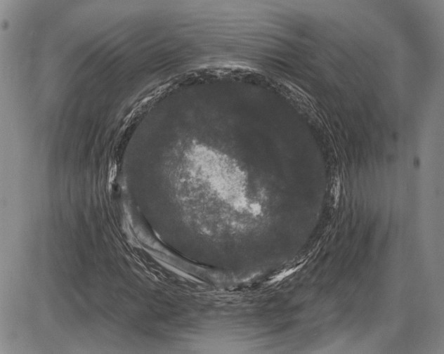 X0000085761014200703301422