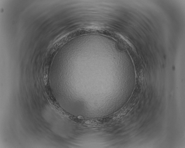 X0000085761015200703301422