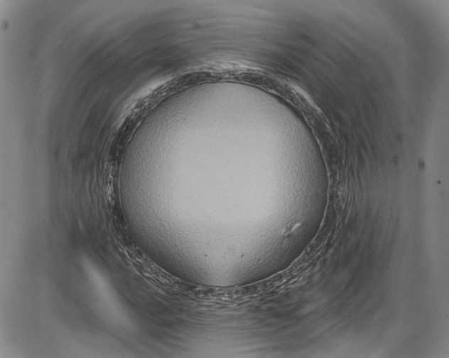X0000085761016200703301422