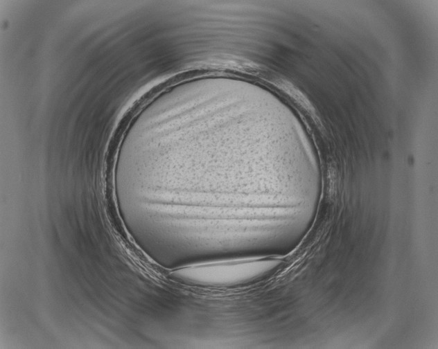 X0000085761020200703301422