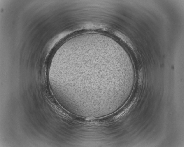 X0000085761021200703301422