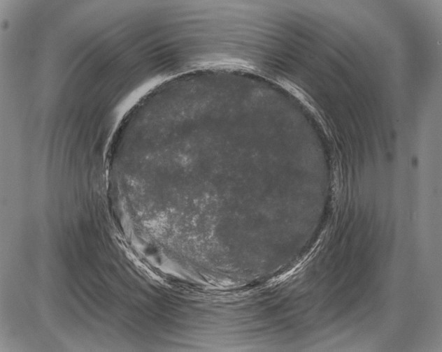 X0000085761022200703301422