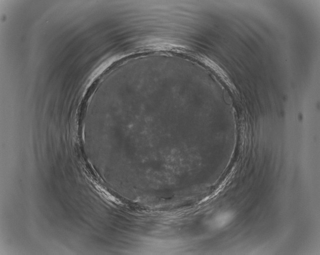 X0000085761023200703301422