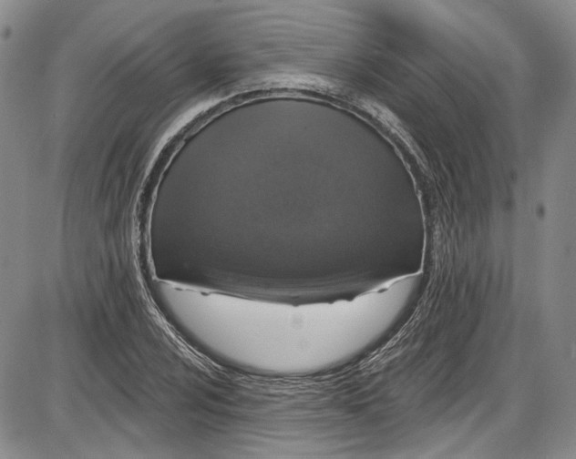 X0000085761024200703301422