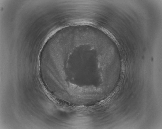 X0000085761031200703301423