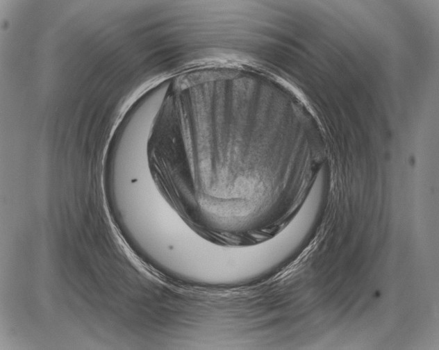 X0000085761034200703301423
