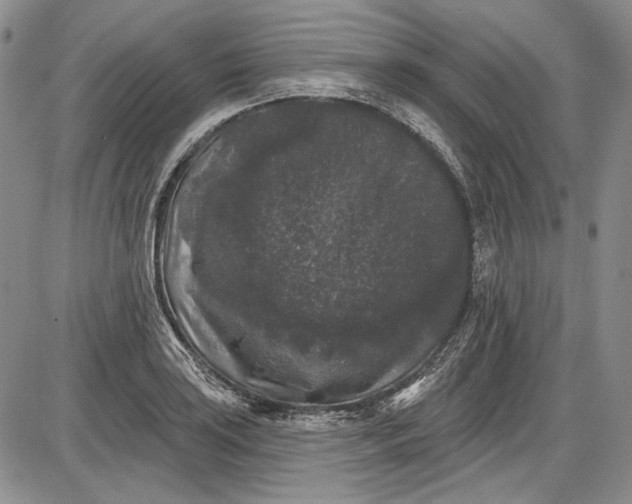 X0000085761035200703301423