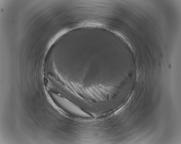 X0000085761038200703301423