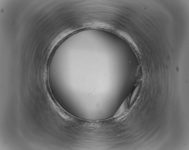 X0000085761040200703301423