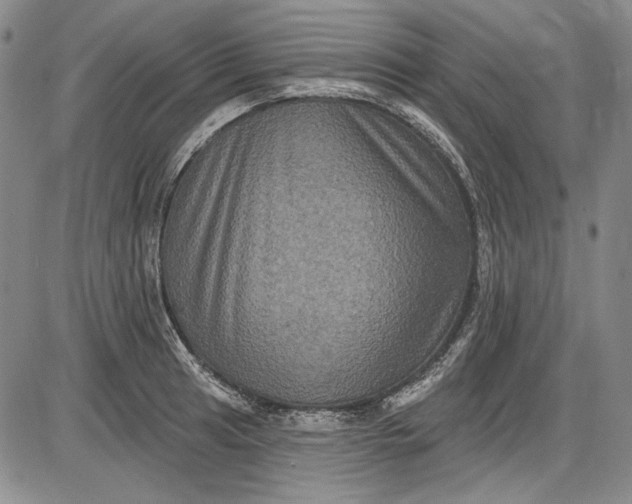 X0000085761041200703301423