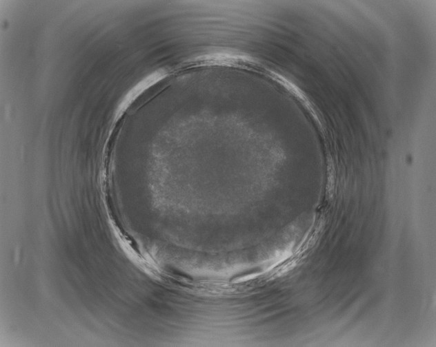 X0000085761042200703301423