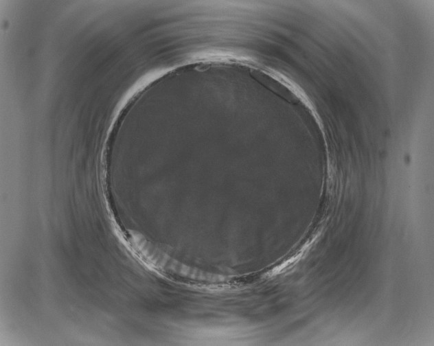 X0000085761045200703301423