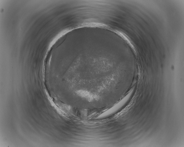X0000085761046200703301423