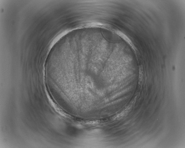 X0000085761047200703301423
