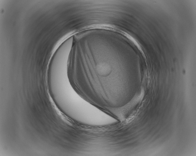 X0000085761050200703301423