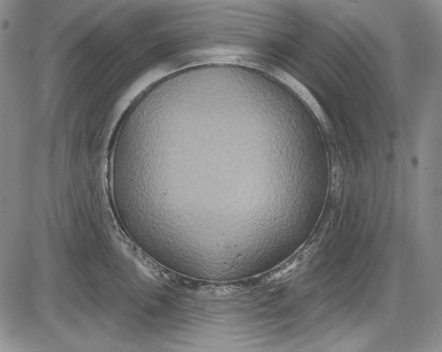 X0000085761051200703301423