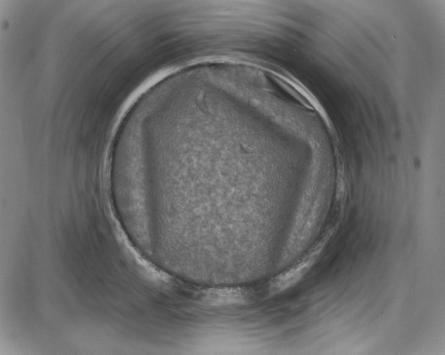 X0000085761053200703301423