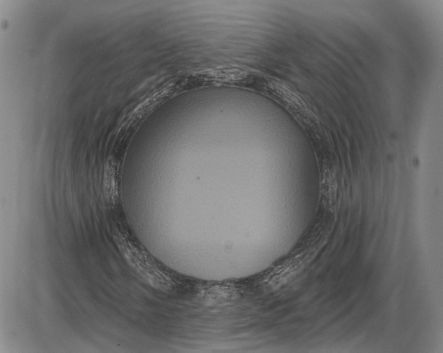 X0000085761058200703301422