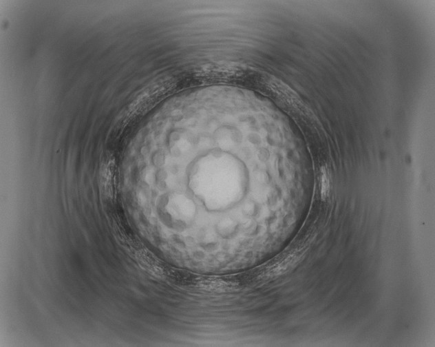 X0000085761059200703301422