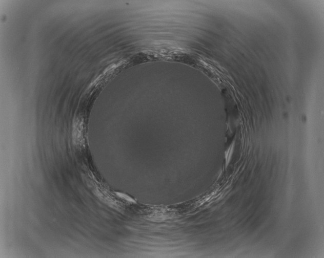 X0000085761060200703301422