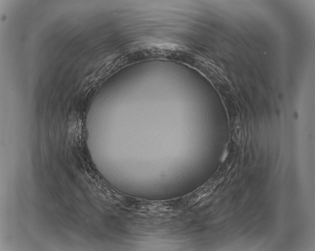 X0000085761061200703301422