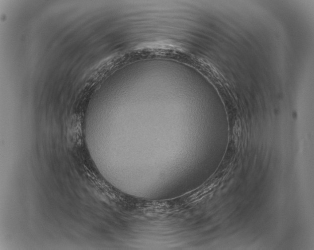 X0000085761062200703301422