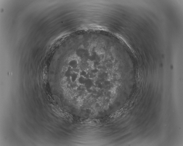 X0000085761063200703301422