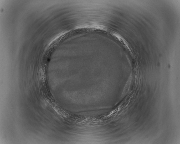 X0000085761064200703301422