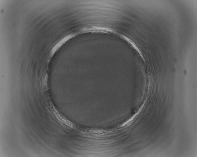 X0000085761066200703301422
