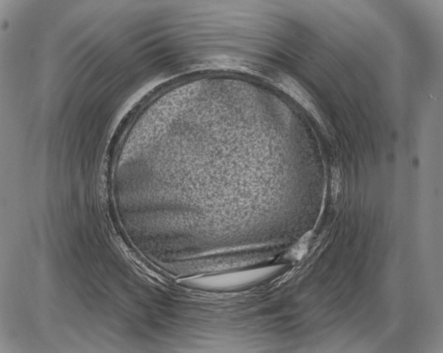 X0000085761068200703301422
