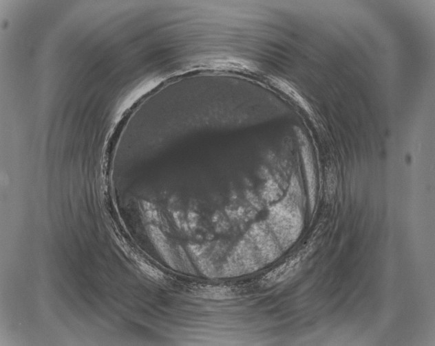 X0000085761071200703301422