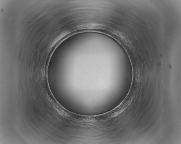X0000085761073200703301422
