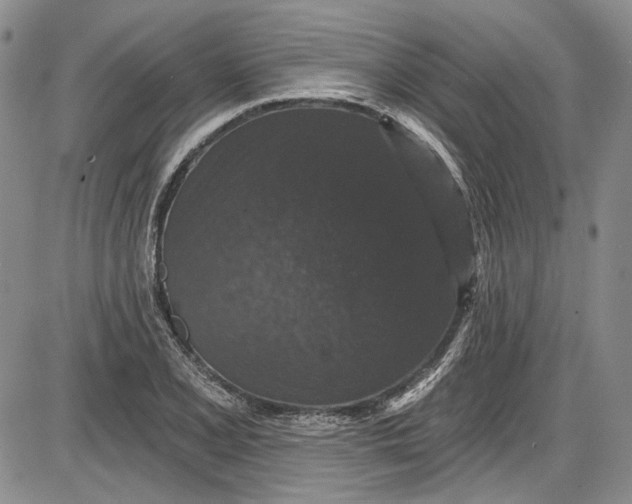 X0000085761077200703301422
