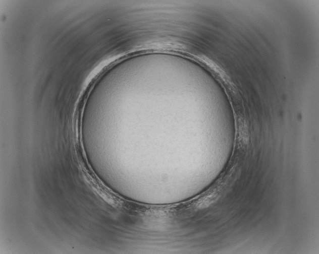 X0000085761078200703301422